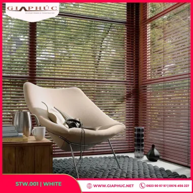Rèm Cuốn Cửa Sổ Màu Ghi Sáng – Soft Shade